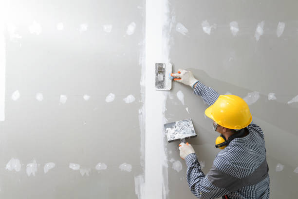 Best Real Estate Mold Inspection  in Washington, NJ