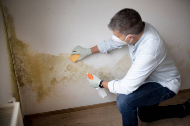 Best Dehumidification Services  in Washington, NJ
