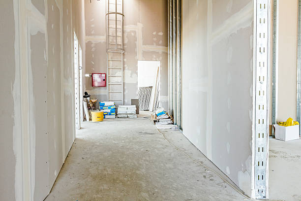 Best Air Quality Testing for Mold Spores  in Washington, NJ